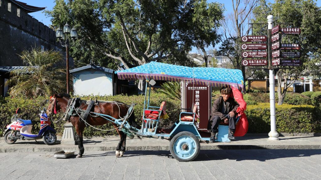 Horse-drawn carriage on a sunny day in a historic city street, ideal for travel themes.