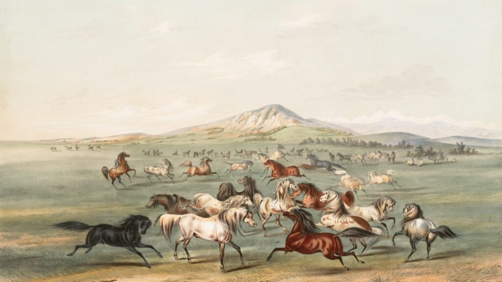 Horse Painting