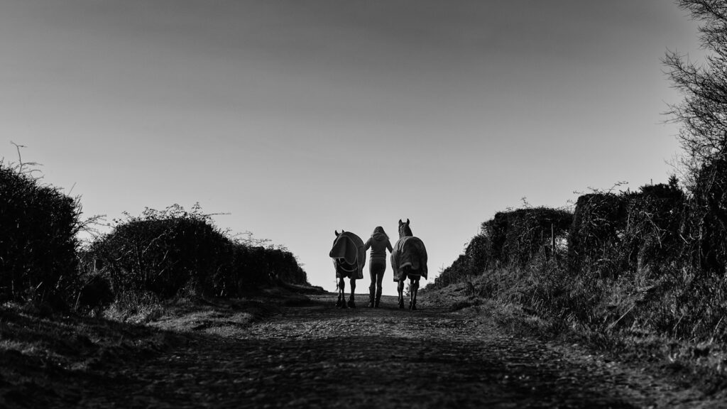 people walking on the road with horse