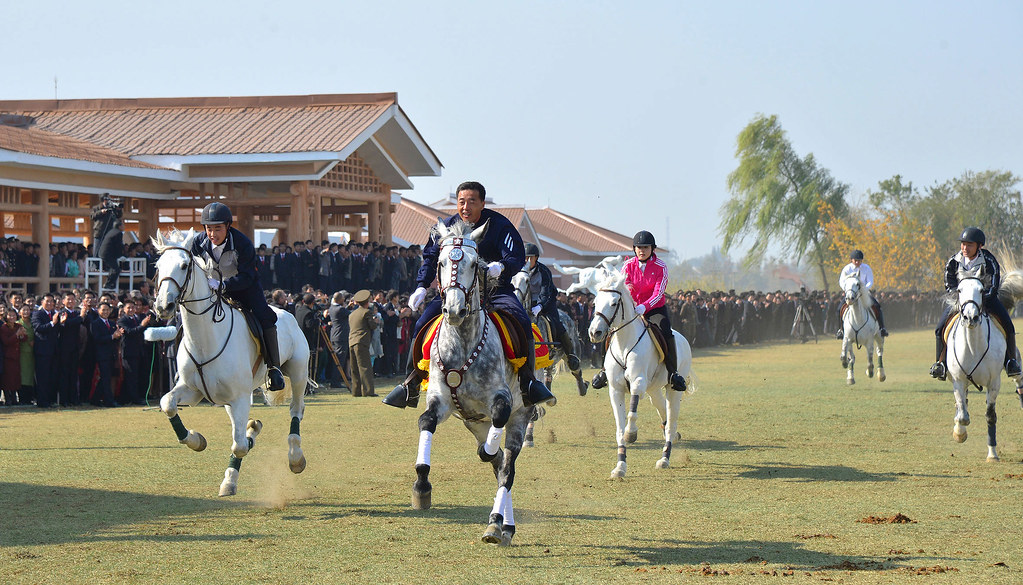  Horse Riding Club