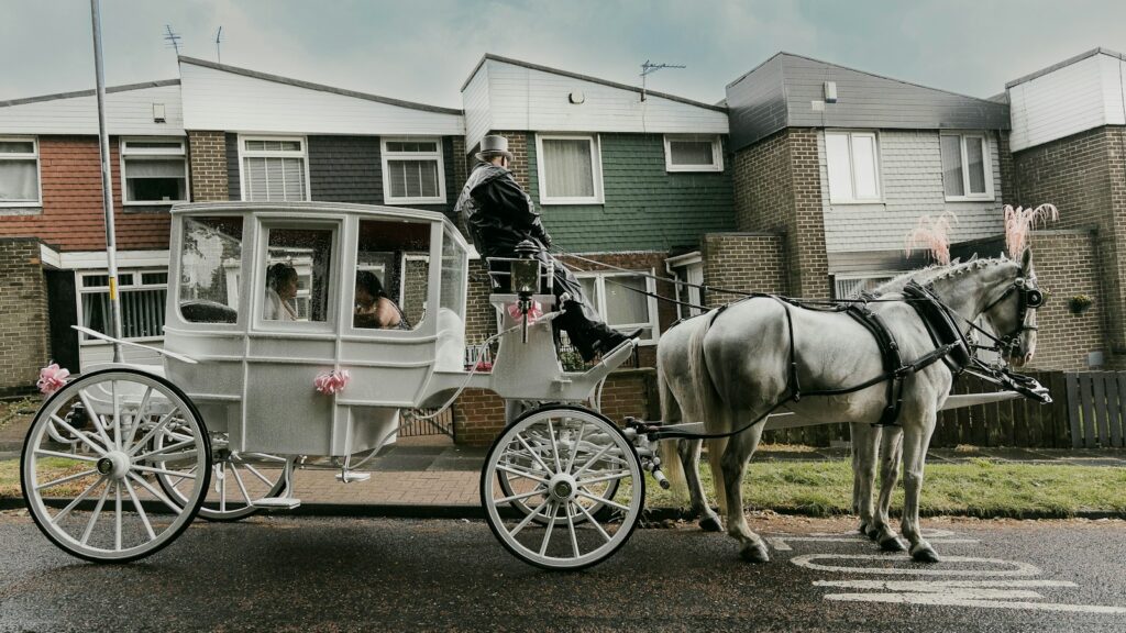 a horse pulls a carriage
