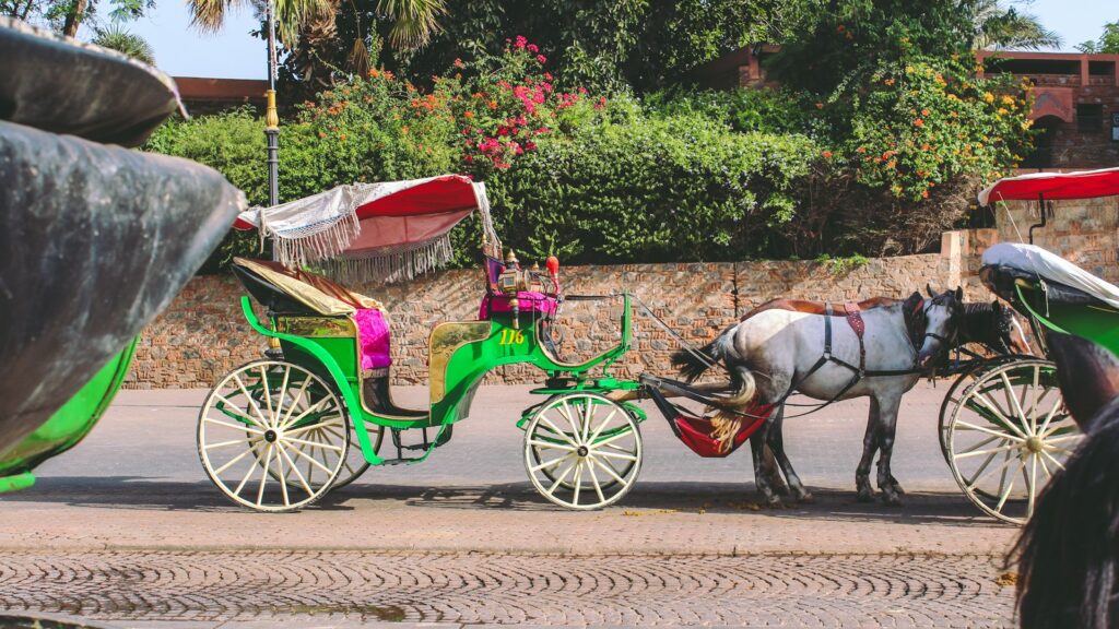 white horse with green carriage