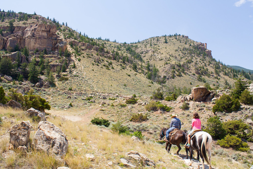 Horse riding on a trail