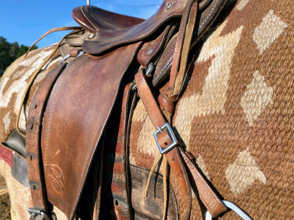 A close up of a saddle on a horse
