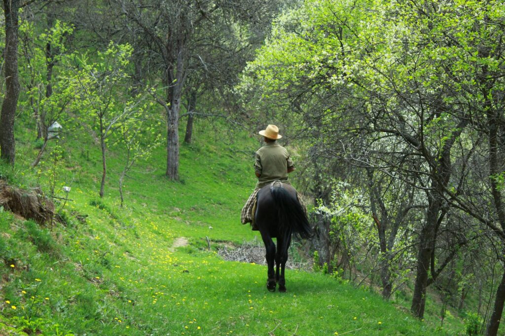 Man on horseback travels through a vibrant green forest