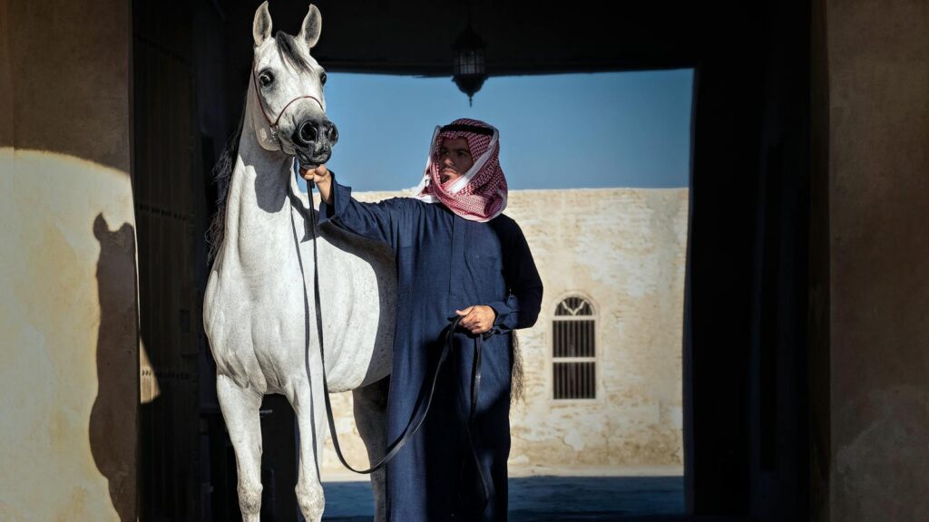 A man in traditional clothing stands with an Arabian horse in an archway.