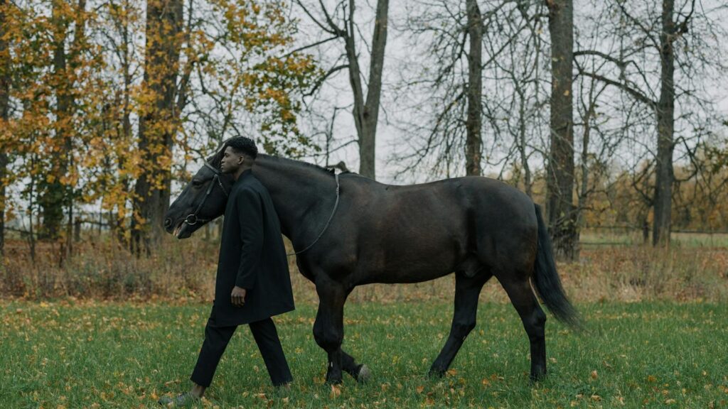 A man walking a dark horse through a lush autumn park, embracing nature.