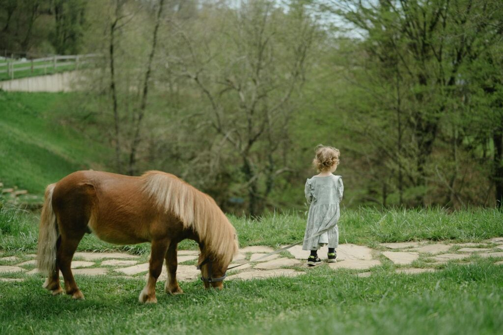 Young child stands near a pony
