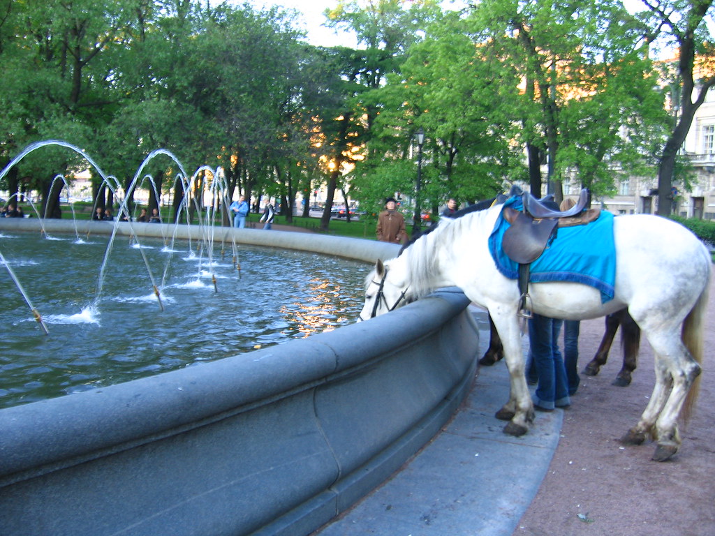 Horses drinking at the fountain