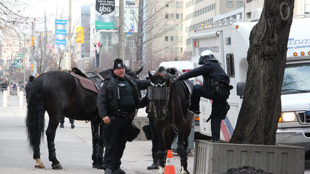 a man mount on horse