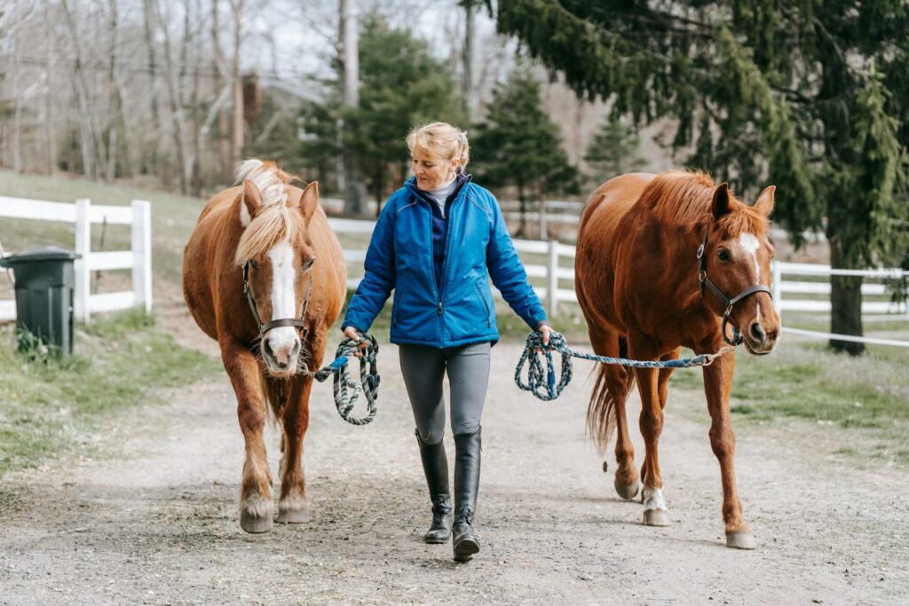 A woman walking two horses on a rural path, showcasing farm life and animals.