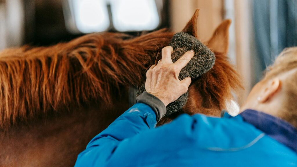 A person grooms a brown horse in a stable using a brush, showcasing care and bonding.