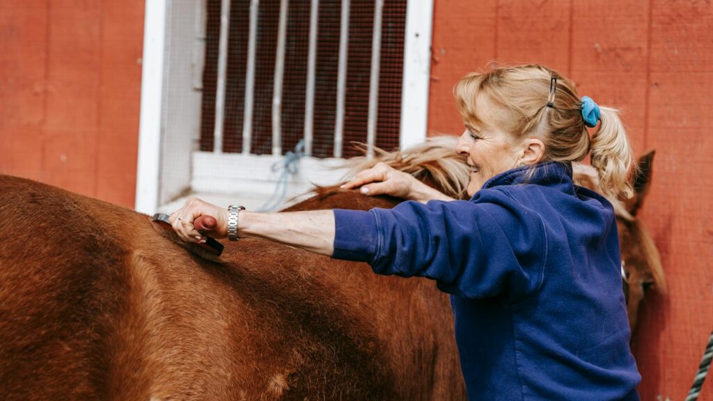 A smiling woman grooms a horse outdoors, showcasing equestrian care and bonding.