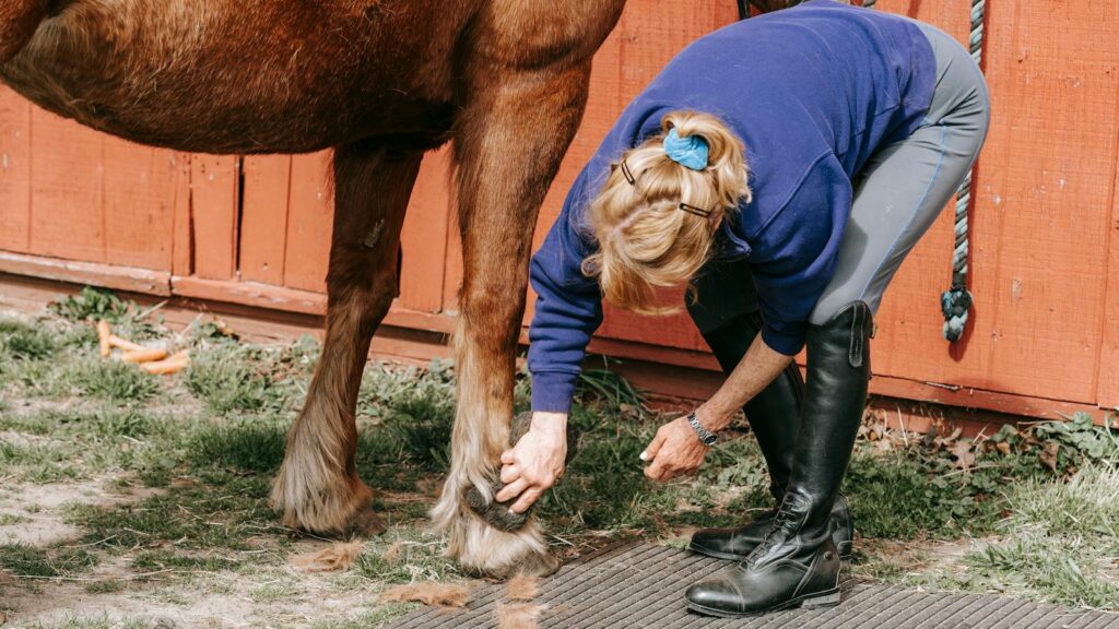A woman grooms a brown horse in a stable, maintaining its hoof outdoors.