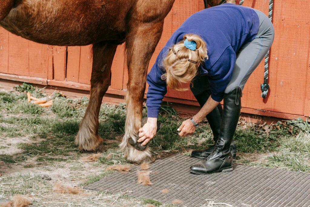 A woman grooms a brown horse in a stable, maintaining its hoof outdoors.