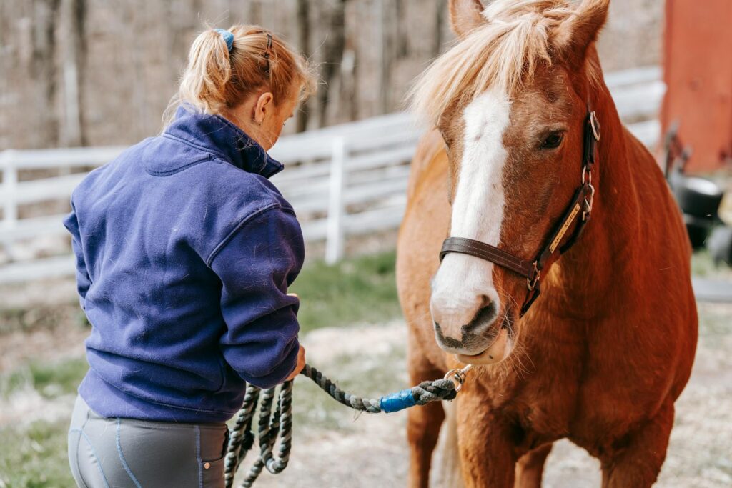 Owner tending to a horse on a farm