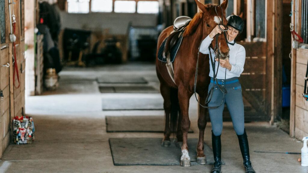 Equestrian adjusts bridle of brown horse inside a rustic barn, showcasing the bond between horse and rider.