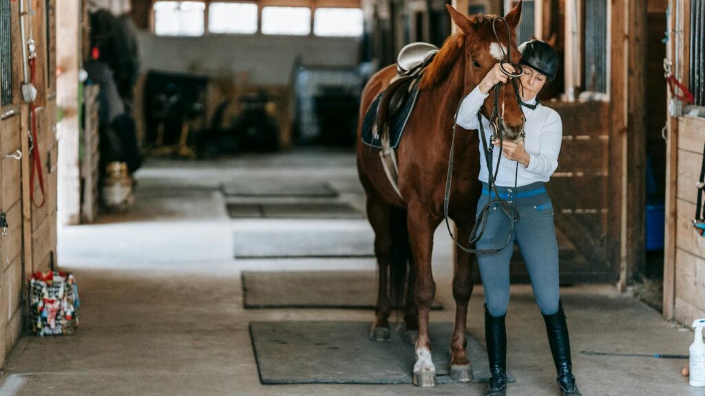 Equestrian adjusts bridle of brown horse inside a rustic barn, showcasing the bond between horse and rider.
