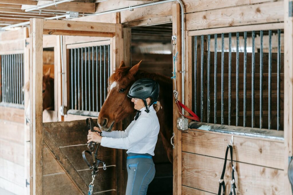 Horsewoman in a stable preparing her horse
