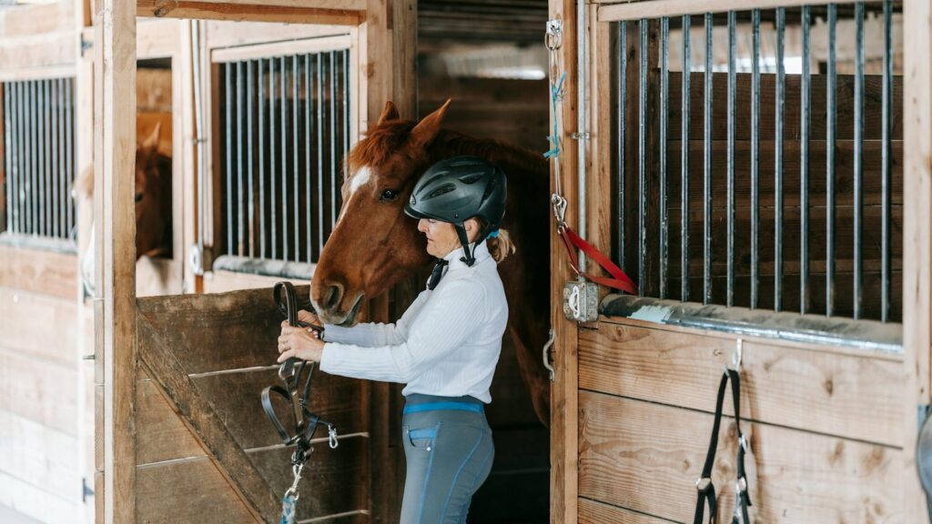 Horsewoman in a stable preparing her horse for riding, showcasing equestrian life.