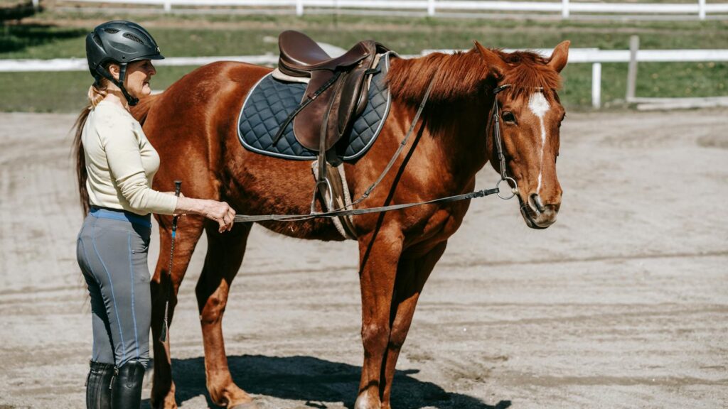 Woman equestrian leading a chestnut horse with a saddle outdoors.