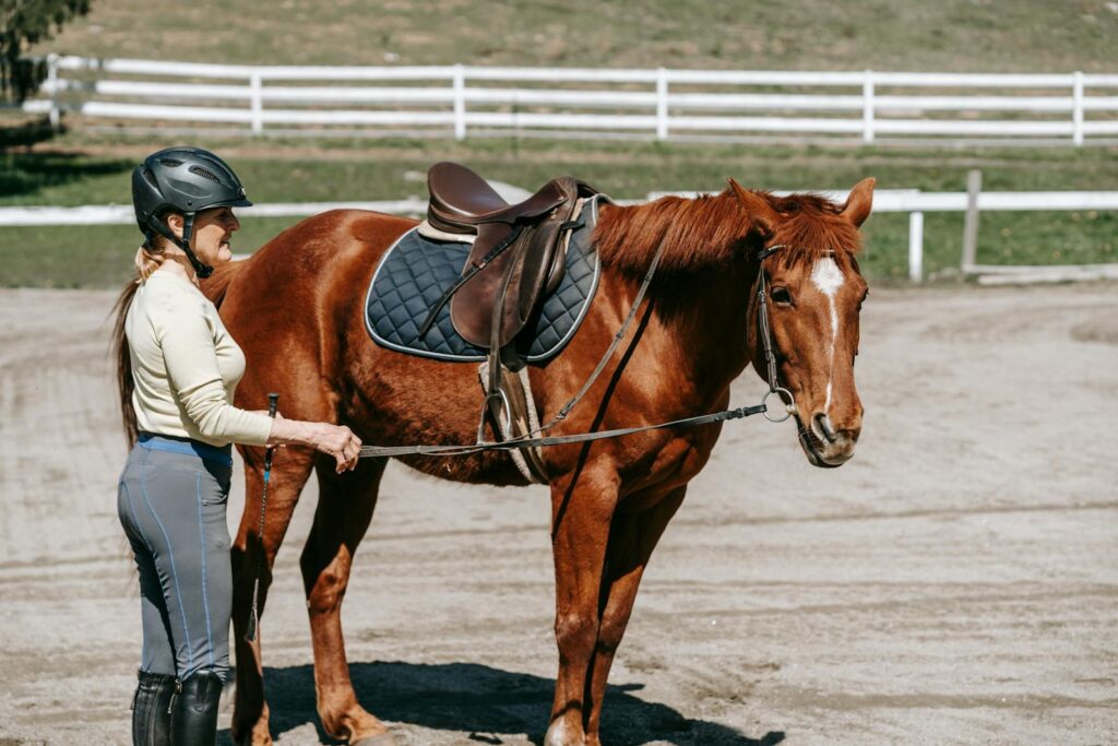 Woman equestrian leading a chestnut horse outdoors