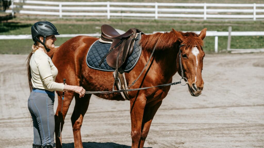Woman equestrian leading a chestnut horse with a saddle outdoors.