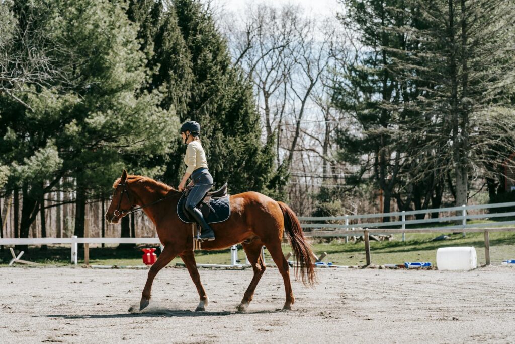 A woman engaged in horseback riding practice in a serene outdoor setting.