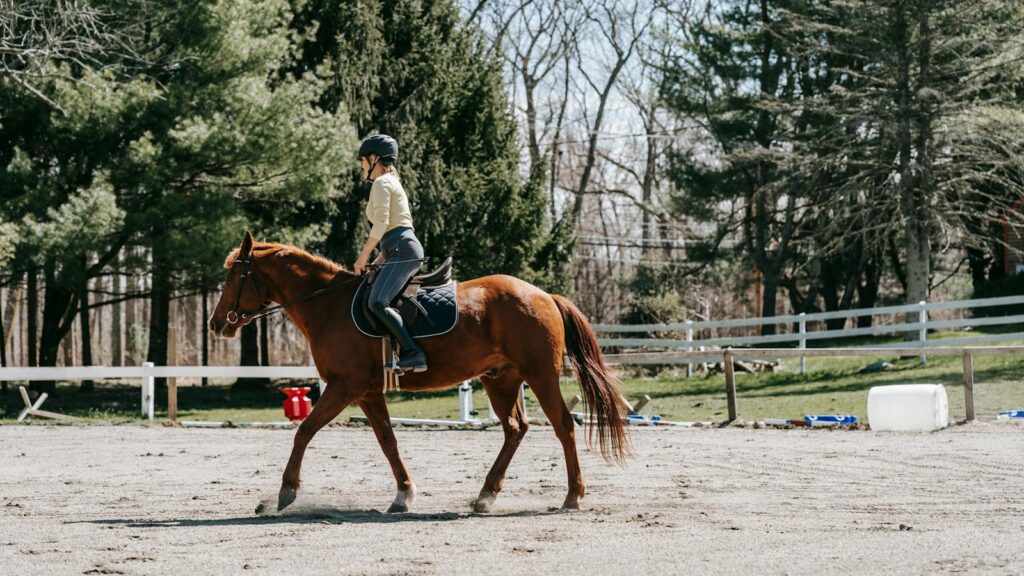 A woman engaged in horseback riding practice in a serene outdoor setting.