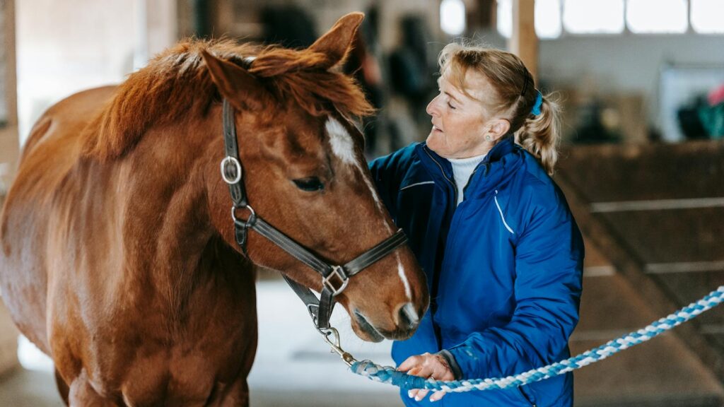 A woman in a stable gently caring for a brown horse on a winter day.