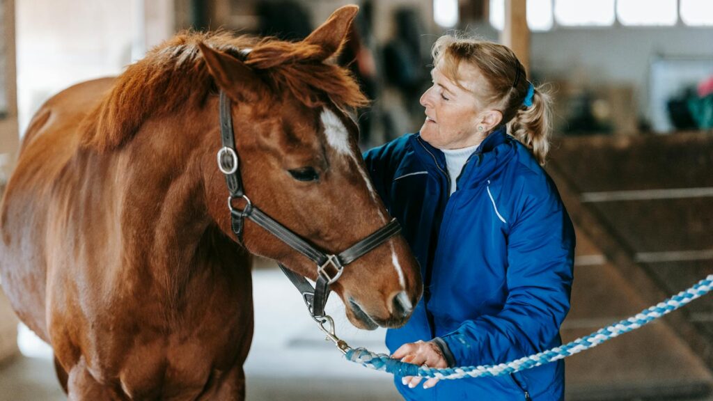 A woman in a stable gently caring for a brown horse on a winter day.