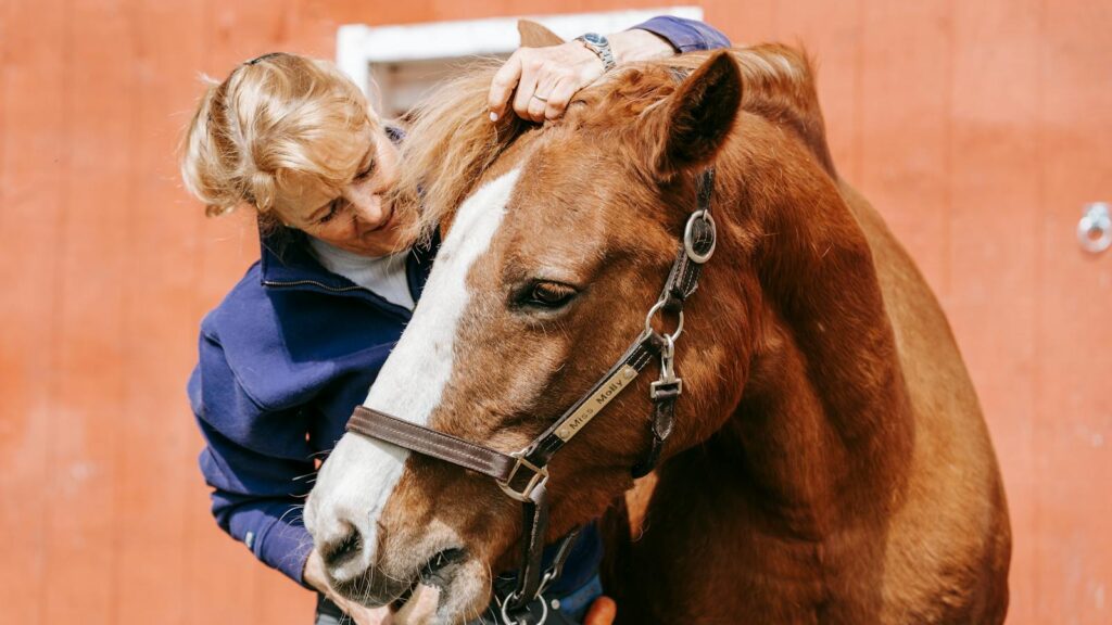 Woman caring for a horse in a stable, showcasing the bond between human and animal.