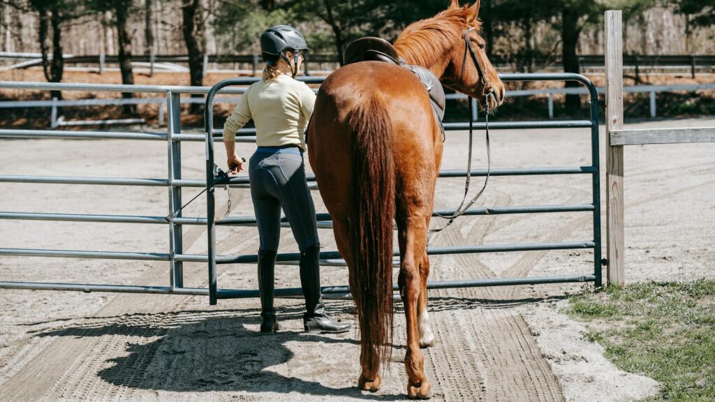 Rear view of a female equestrian leading a chestnut horse through a farm gate.