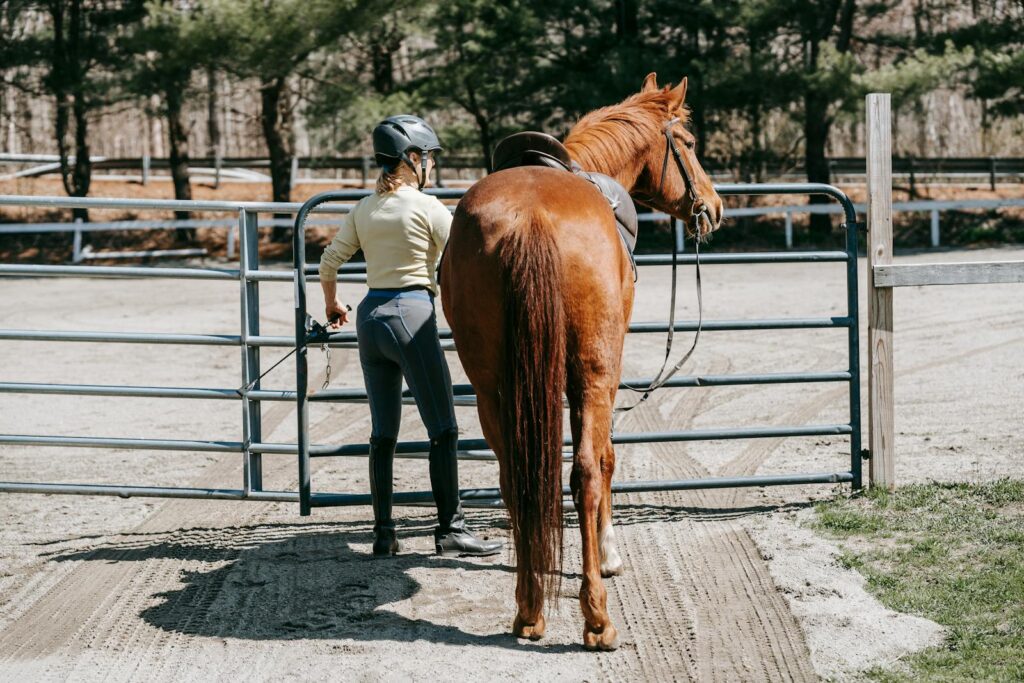 Rear view of a female equestrian horse through a farm gate