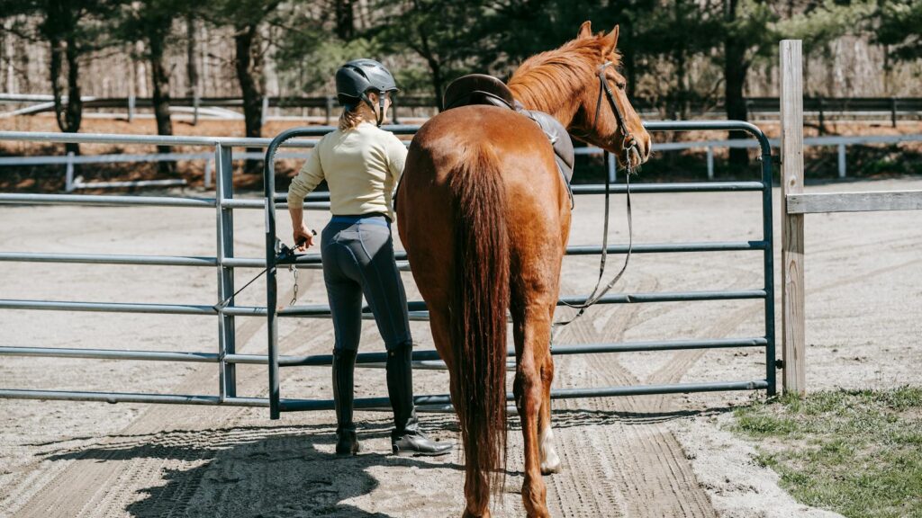 a female equestrian leading a chestnut horse through a farm gate.