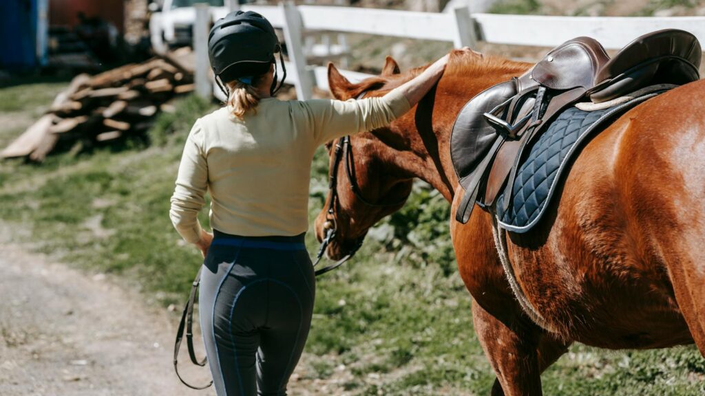 A person gently pats a brown horse, showcasing equestrian care and companionship outdoors.