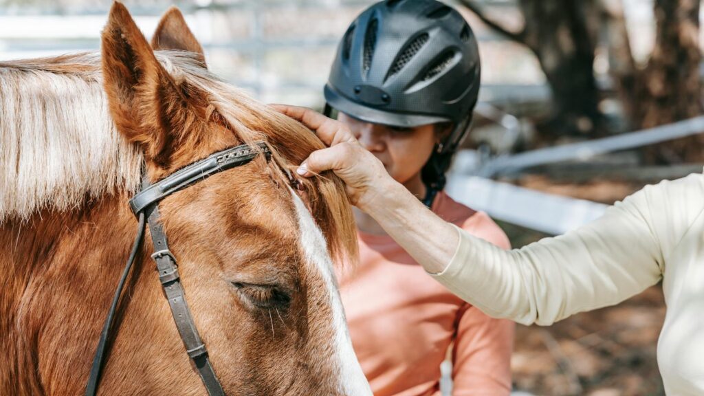 A woman grooms her horse outdoors, focusing on its mane, in a sunlit stable area.