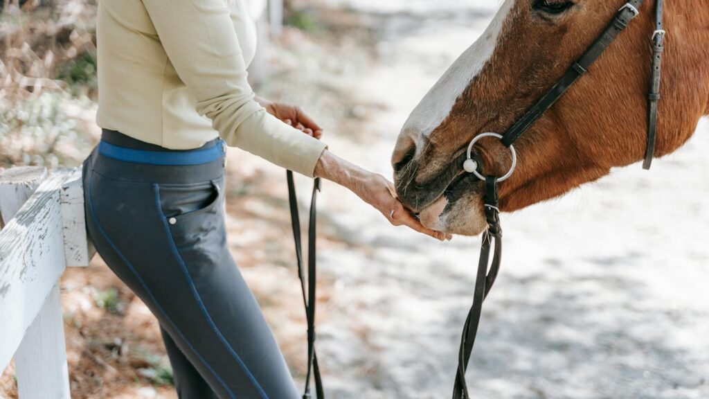 A woman feeding a horse outdoors by a white fence, conveying a serene connection.