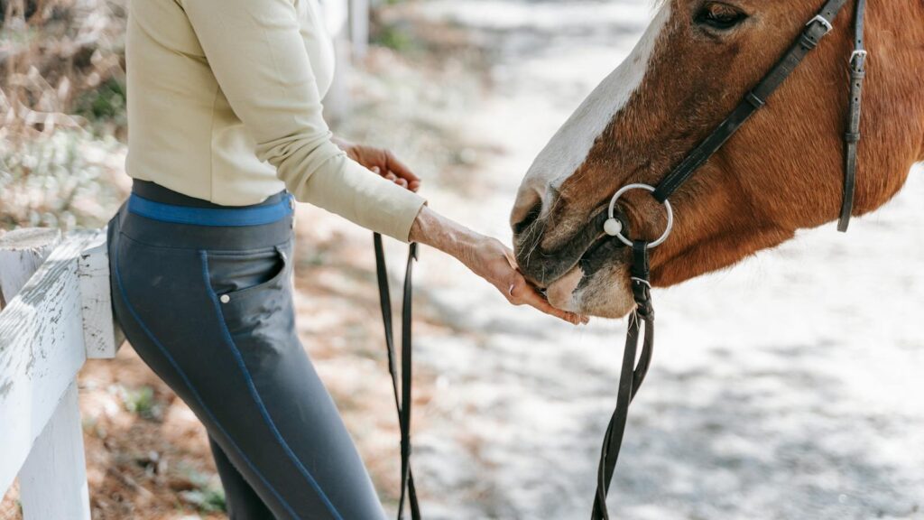 A woman feeding a horse outdoors by a white fence, conveying a serene connection.