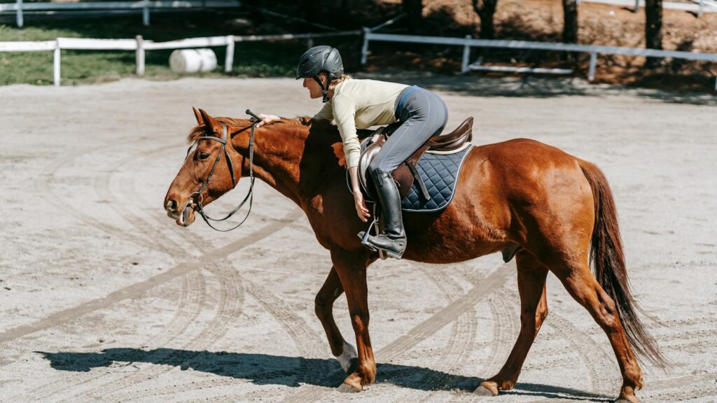 An equestrian rider stretching on a chestnut horse in a sunny outdoor paddock.