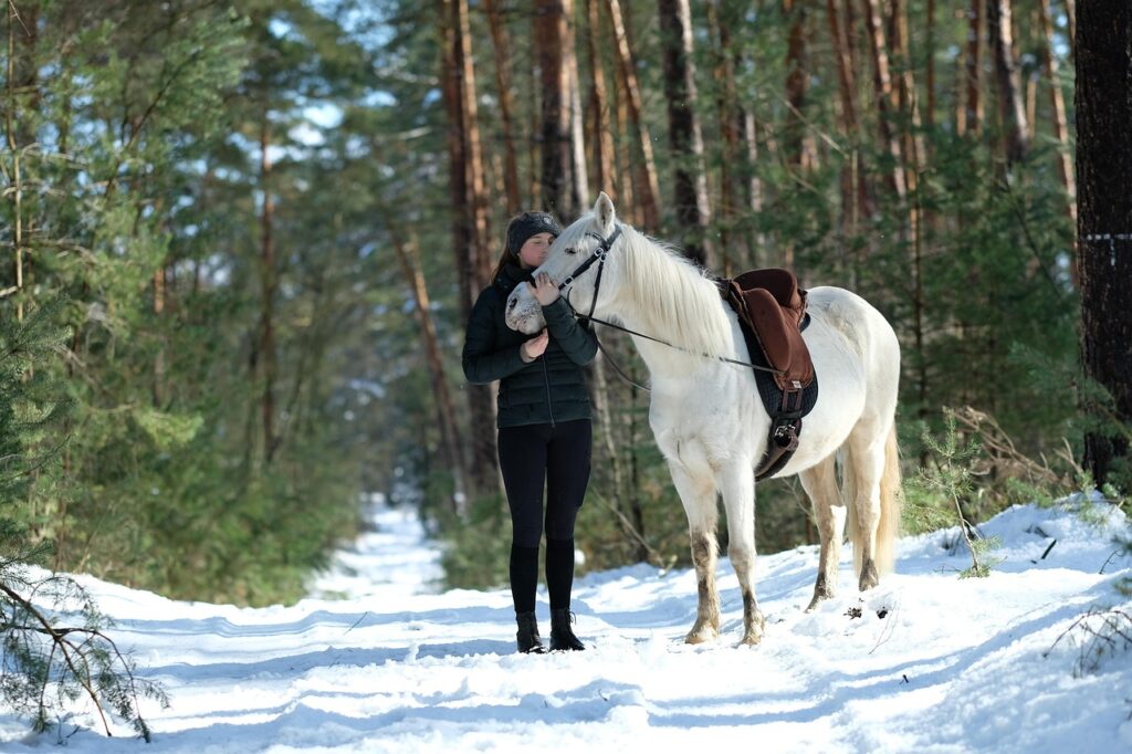 Human and horse on snow