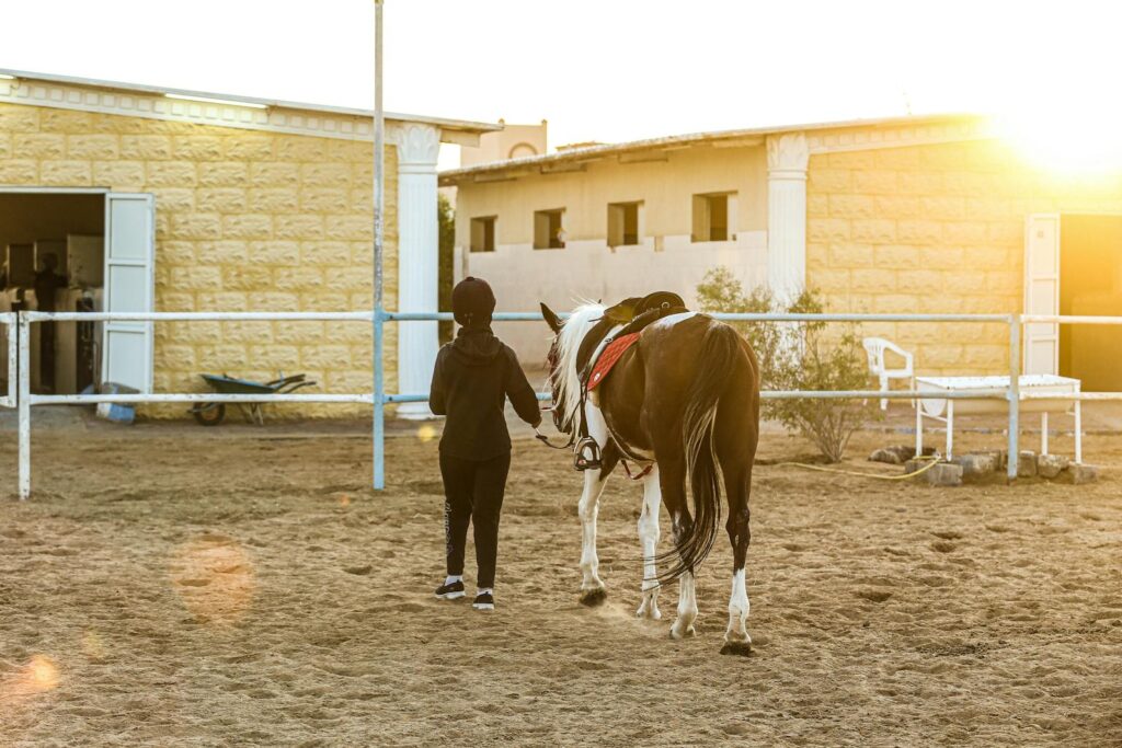 Owner leads a horse at a ranch on a sunny day