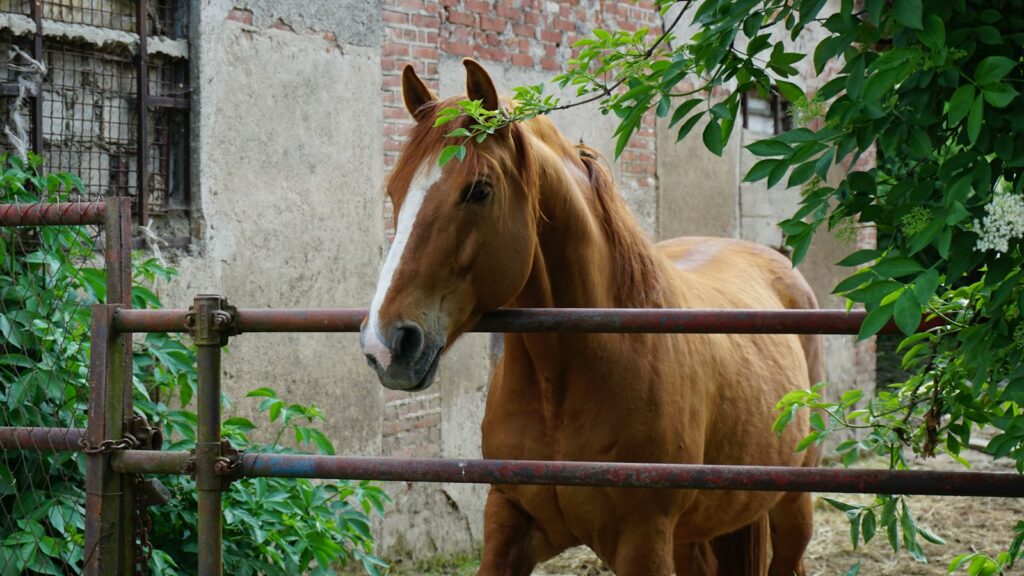 brown horse standing beside brown brick wall