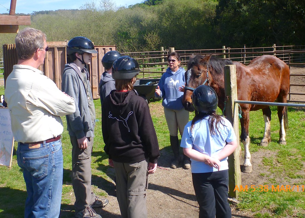 Horsemanship instruction