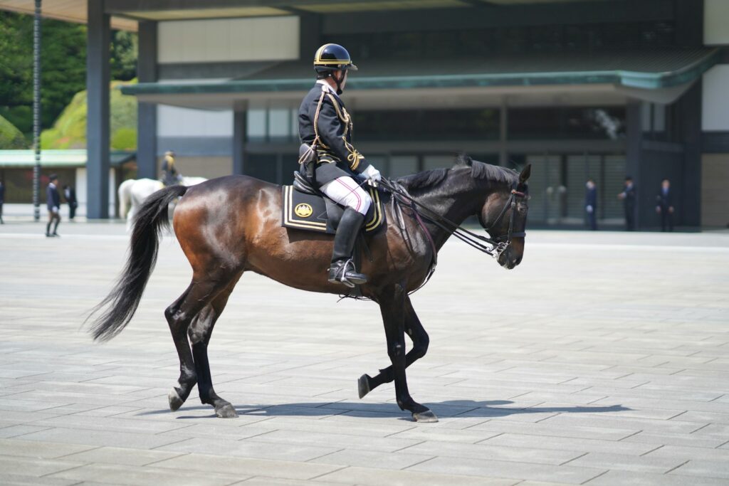 A mounted japanese officer rides a dark horse.