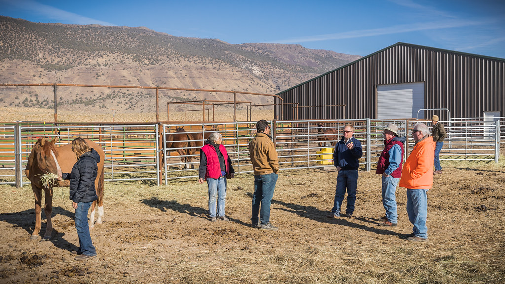 Horse Training Facility