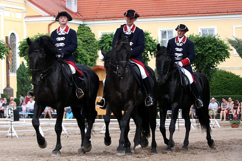 Kladruber Horses