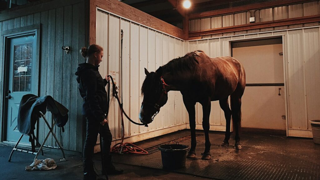 man standing in front of horse