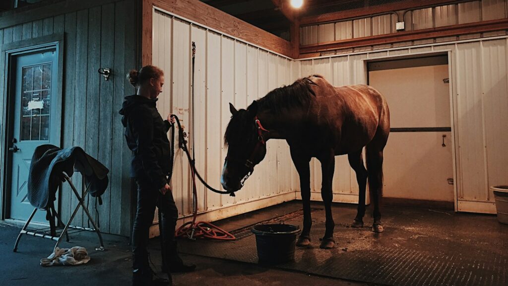 man standing in front of horse