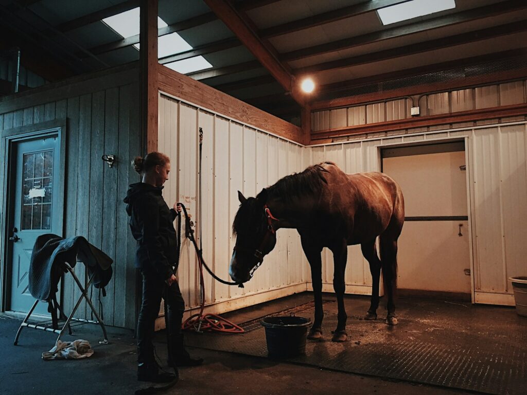 Man standing in front of horse
